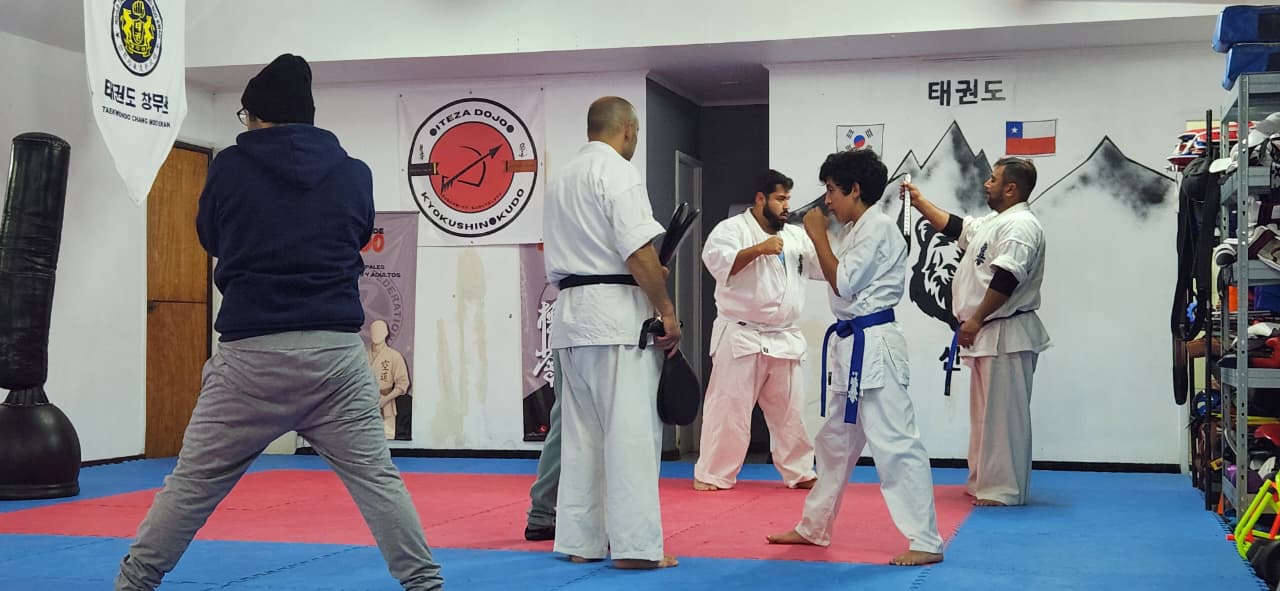 Entrenamiento de Karate Kyokushin en Villa Alemana