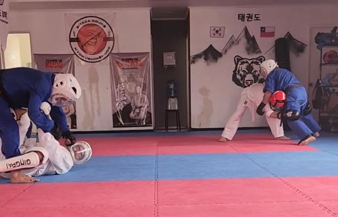 Clases de Kudo en Villa Alemana